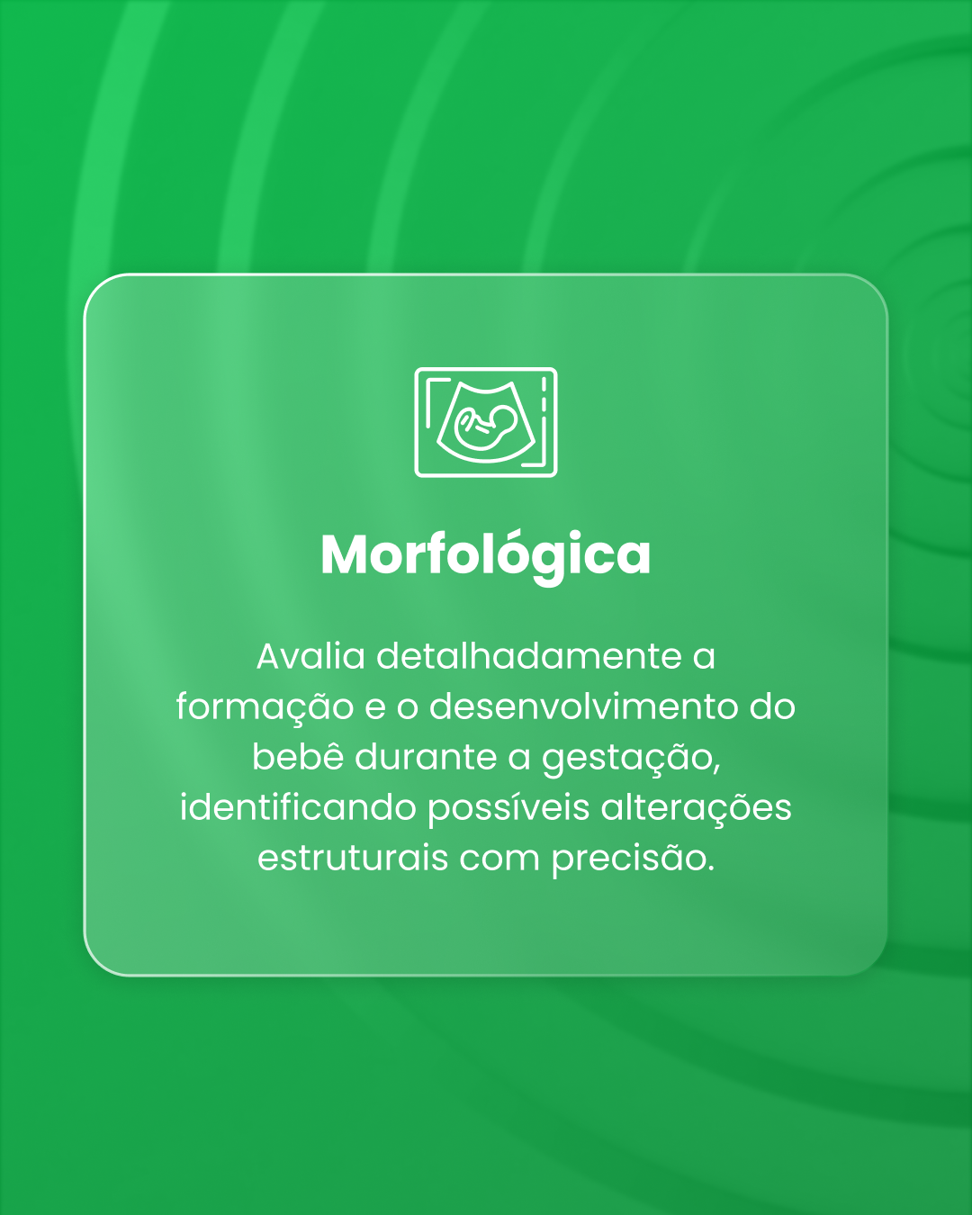 ecografia-morfológica