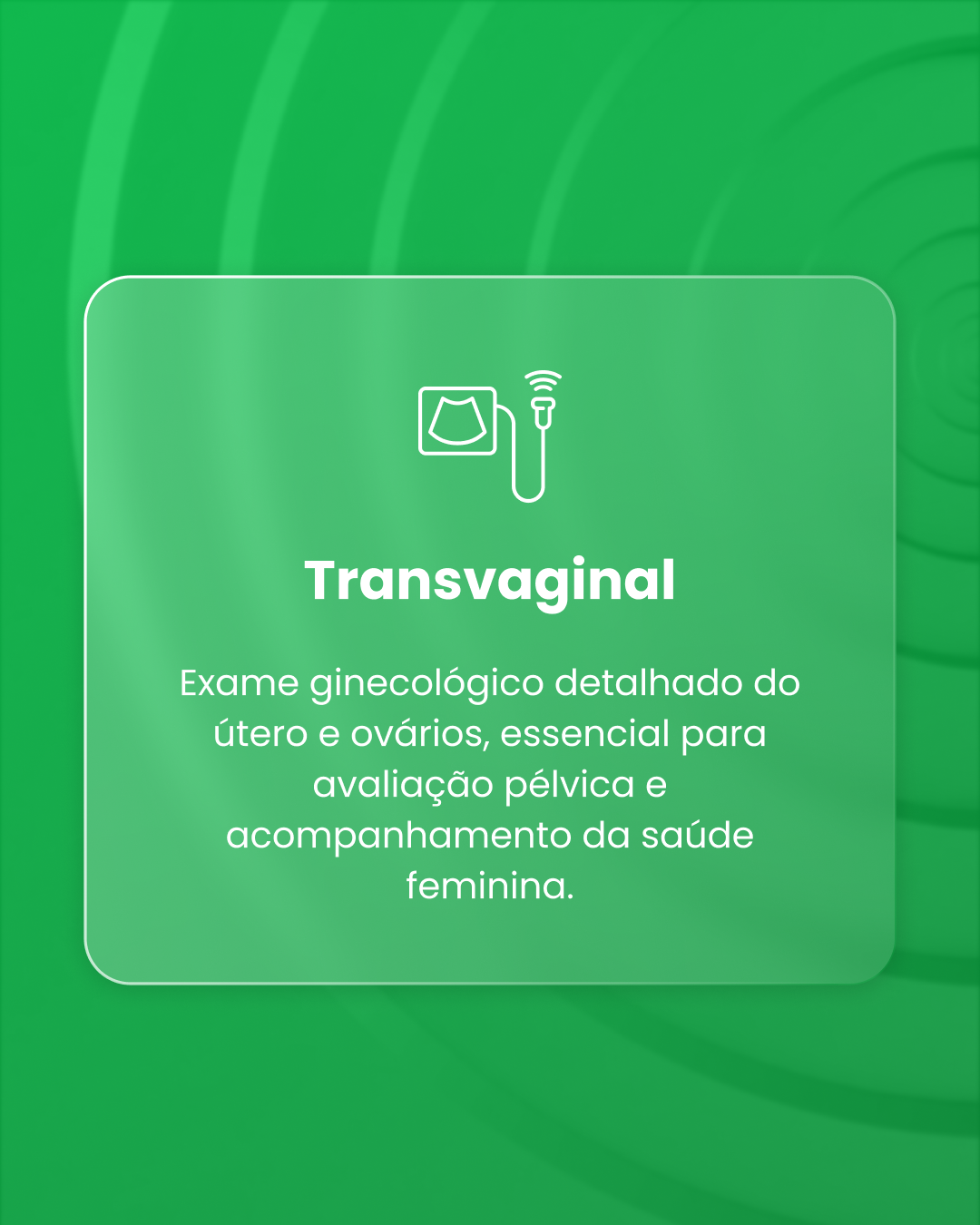 ecografia-transvaginal